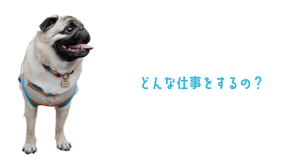 どんな仕事をするの？