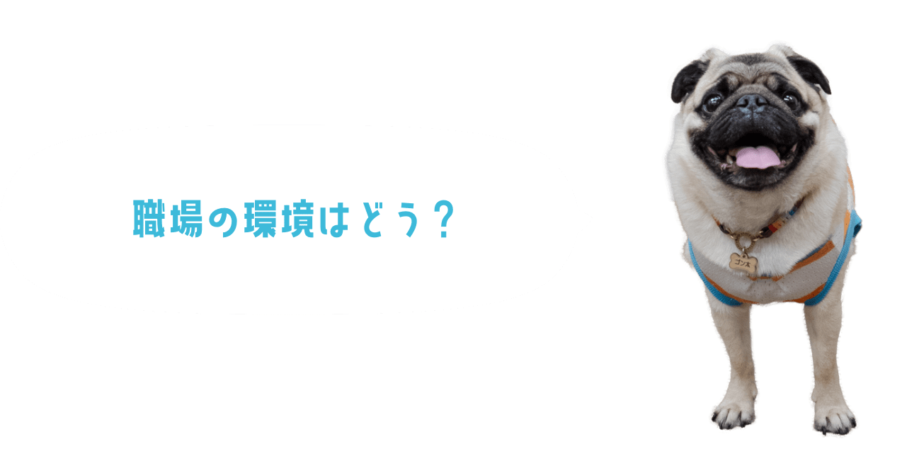 職場の環境はどう？