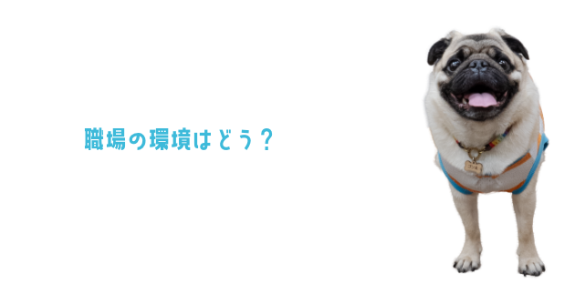 職場の環境はどう？